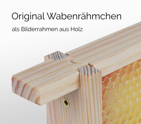 Honigwabe voll – Bild 6